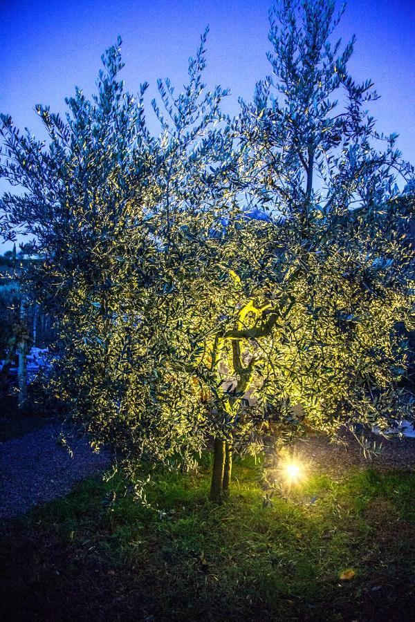 Agriturismo I Roseti Montepulciano Stazione المظهر الخارجي الصورة