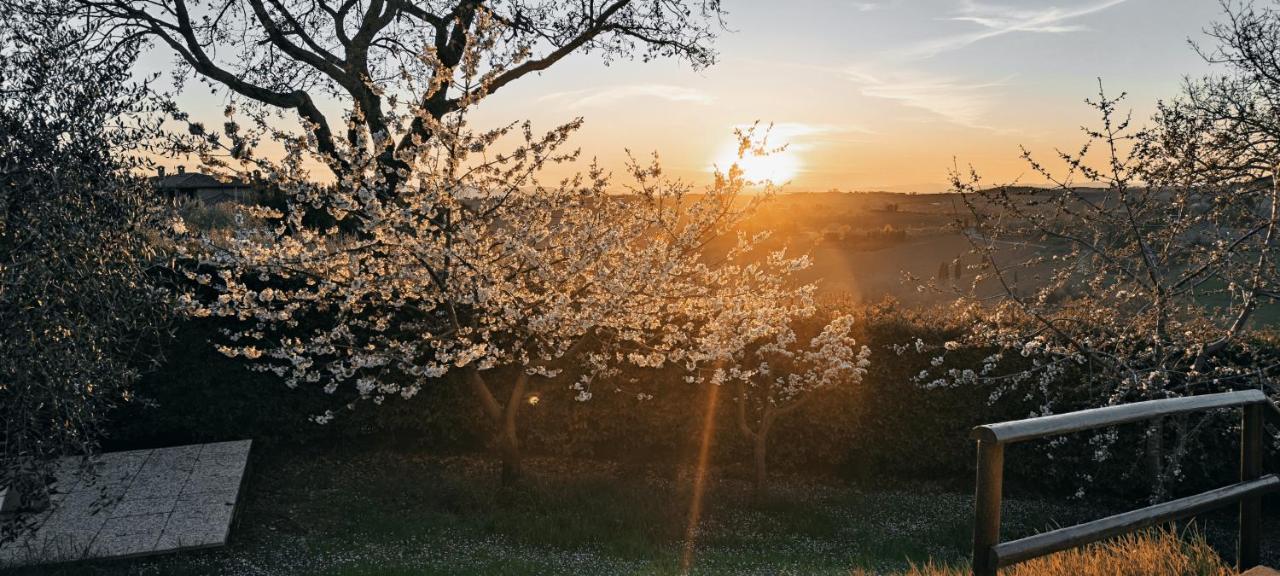 Agriturismo I Roseti Montepulciano Stazione المظهر الخارجي الصورة