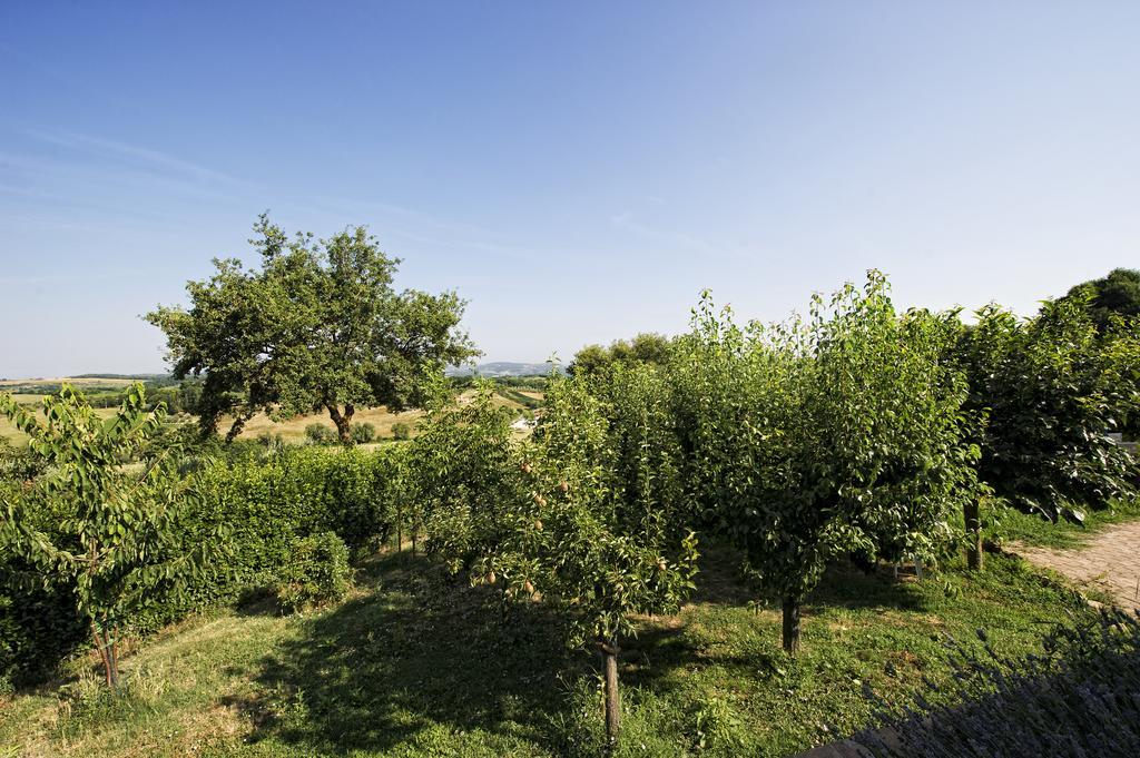 Agriturismo I Roseti Montepulciano Stazione الغرفة الصورة