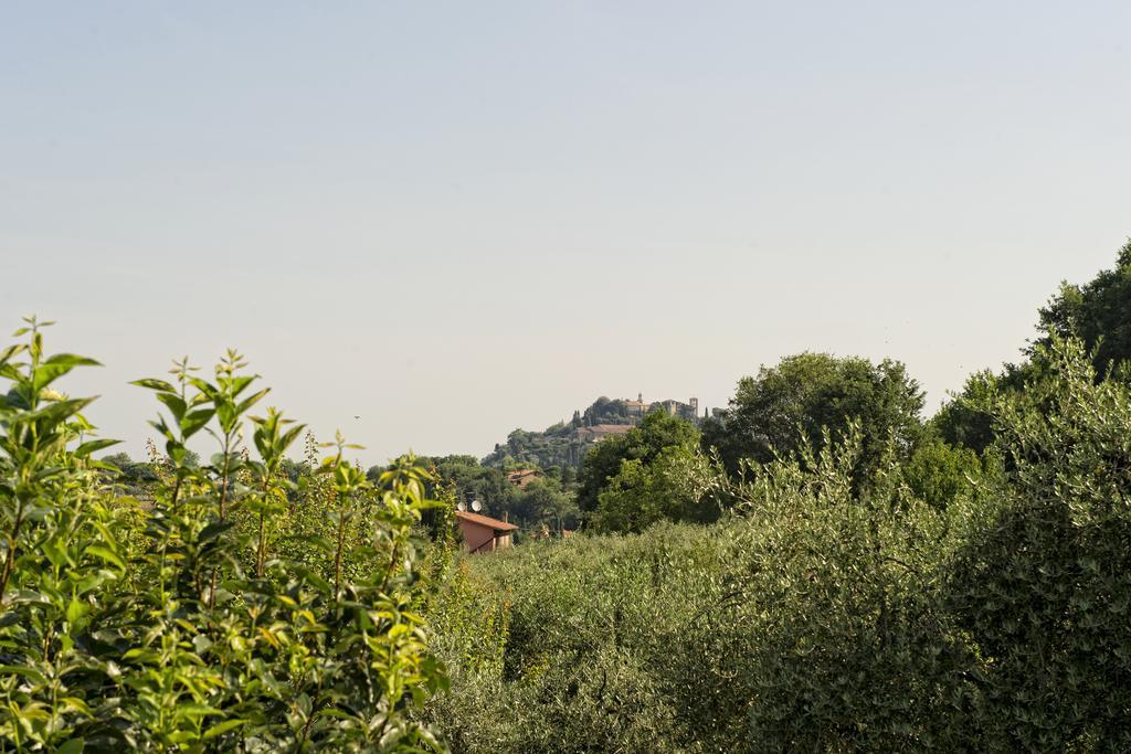 Agriturismo I Roseti Montepulciano Stazione الغرفة الصورة