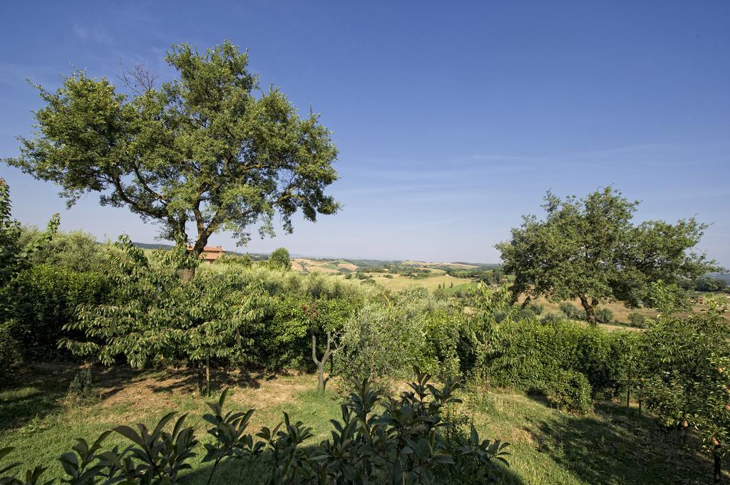 Agriturismo I Roseti Montepulciano Stazione الغرفة الصورة