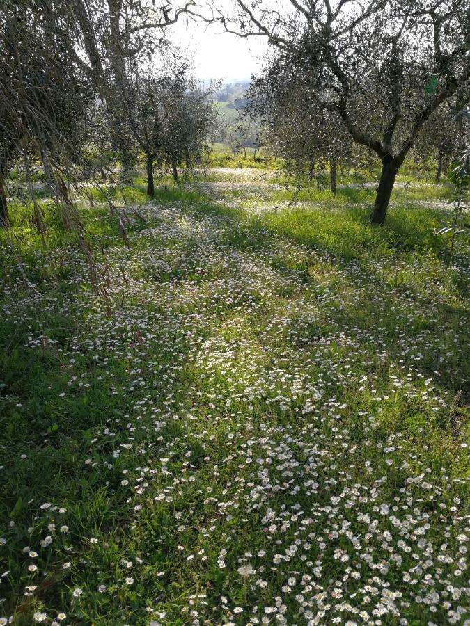Agriturismo I Roseti Montepulciano Stazione المظهر الخارجي الصورة